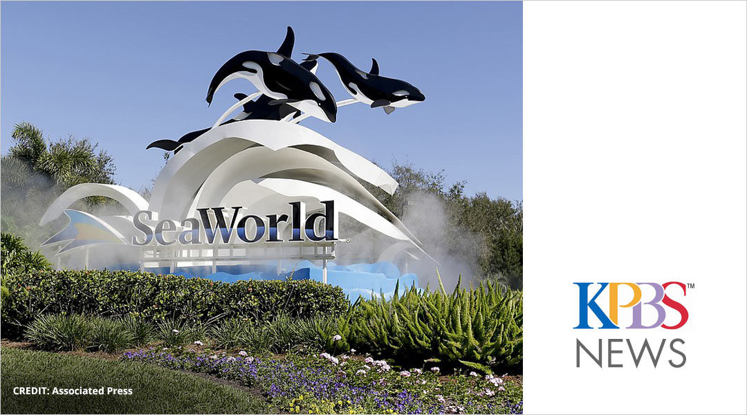 Friday Business Report: SeaWorld’s New Leadership